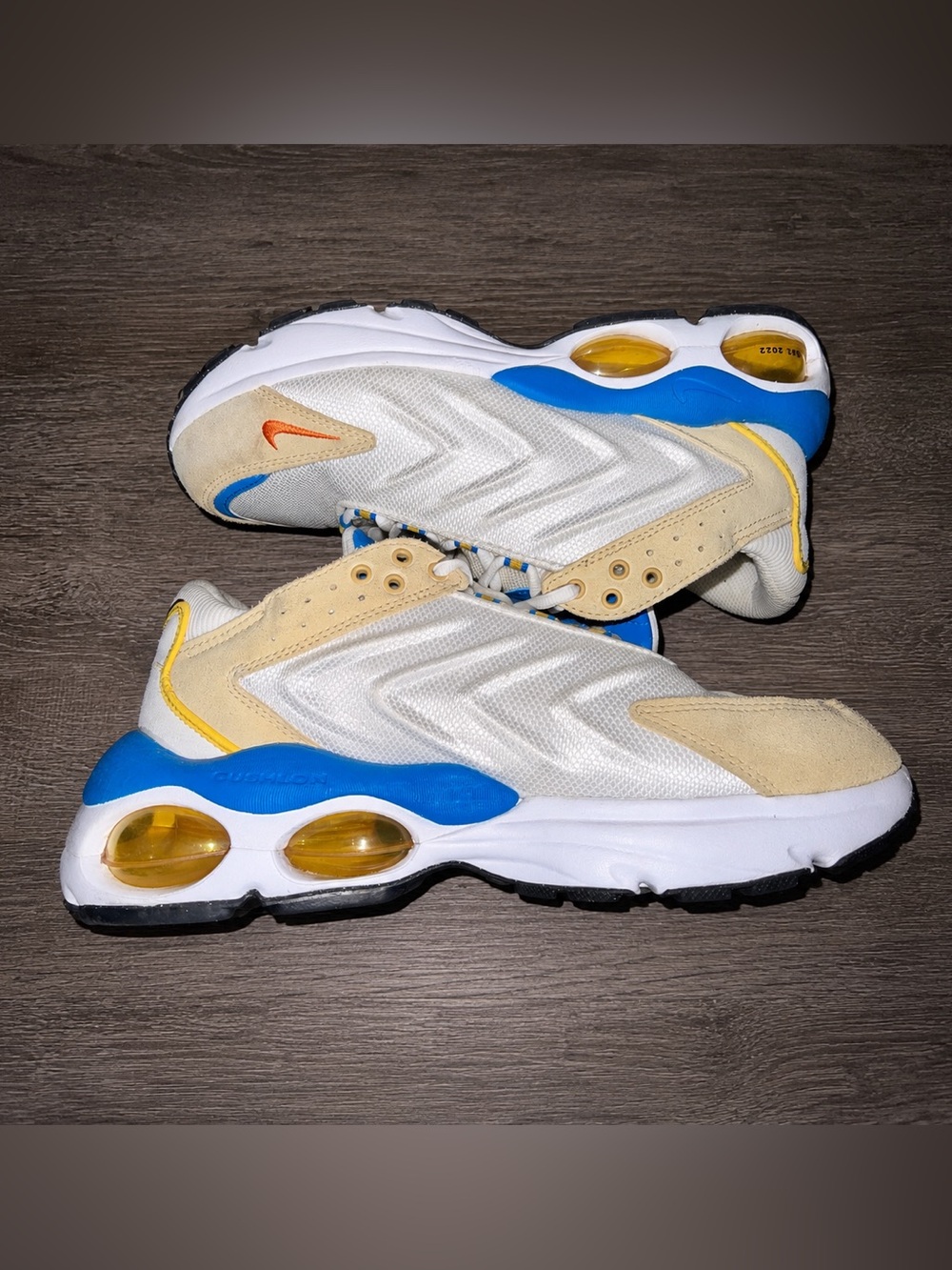 Nike Air Max TW 'Frank Rudy' (Style Code: DV1232-100),